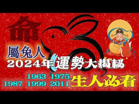 2011是什麼年|2011年